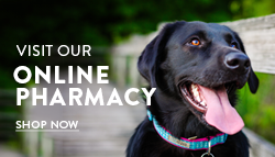 Online Pharmacy Button